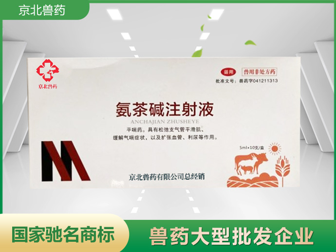 氨茶堿注射液