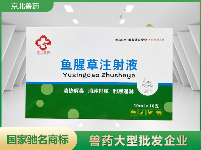 魚腥草注射液