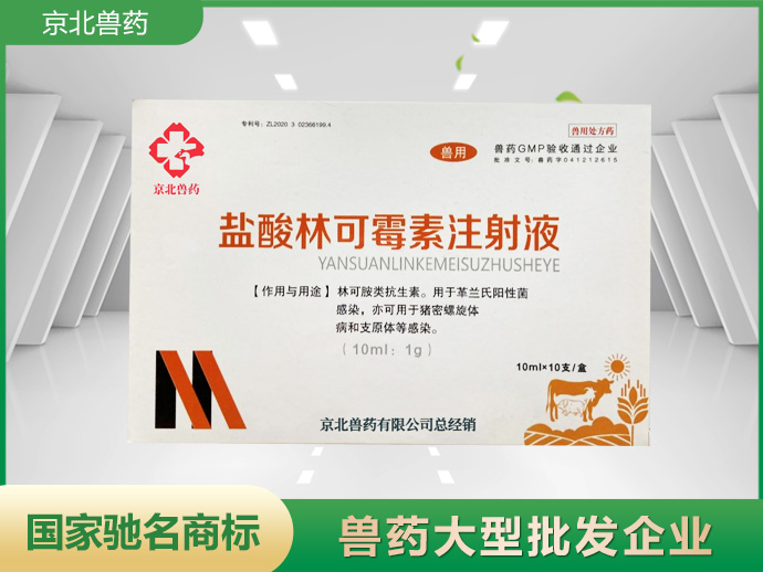 鹽酸林可霉素注射液