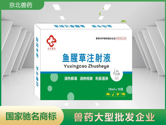 魚腥草注射液